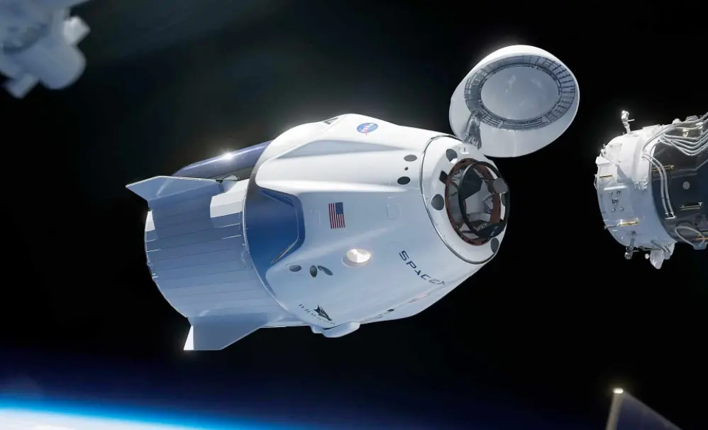 Space sheep
